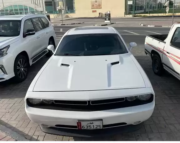 Utilisé Dodge Challenger À vendre au Doha #5383 - 1  image 